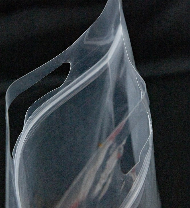 Clear Eight-Side-Seal Bag detail 2