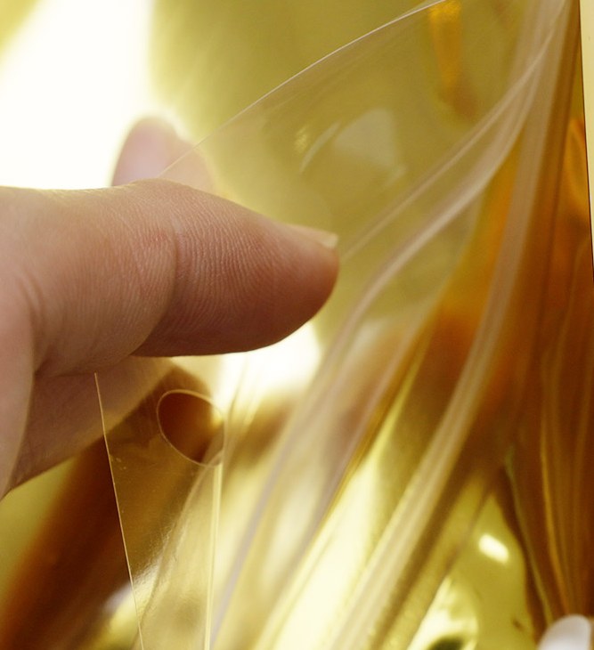 Gold-Lined Glossy Zip Bag detail 2