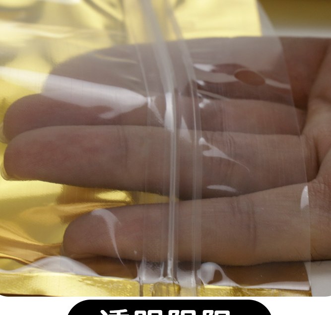 Gold-Lined Glossy Zip Bag detail 6